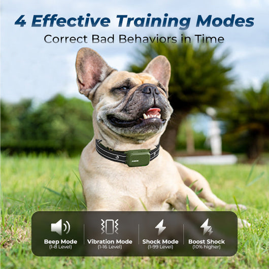 K9 Sync™  - Get in sync with your dog.