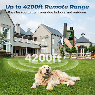 K9 Sync™  - Get in sync with your dog.