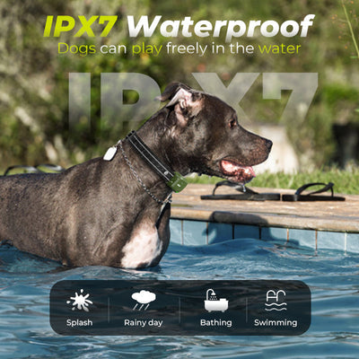 K9 Sync™  - Get in sync with your dog.